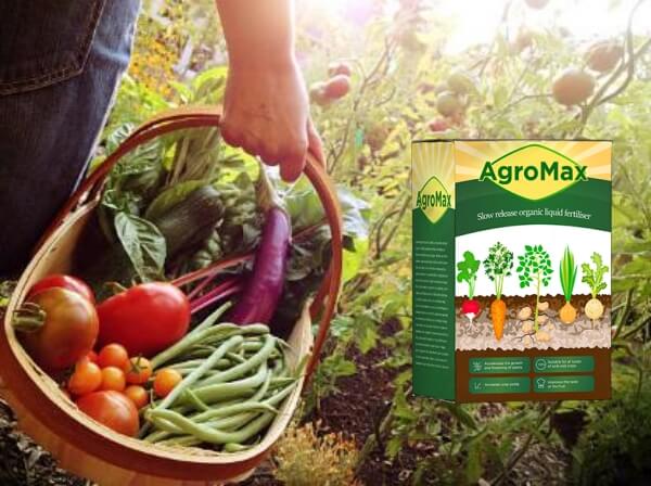 Agromax - erfahrungsberichte - bewertungen - anwendung - inhaltsstoffe